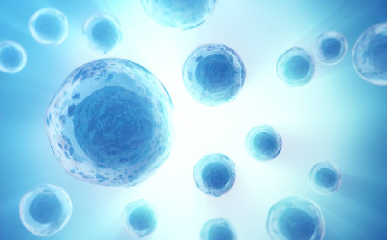 Stem Cell Culture Supernatant