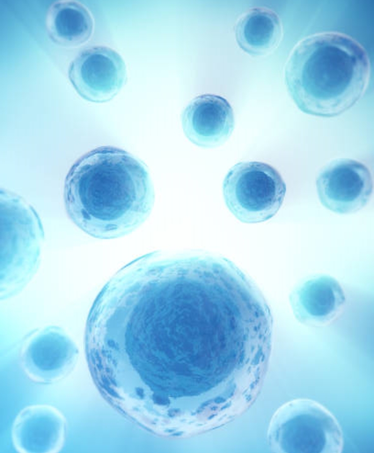 Relationship between Stem Cells and Culture Supernatants