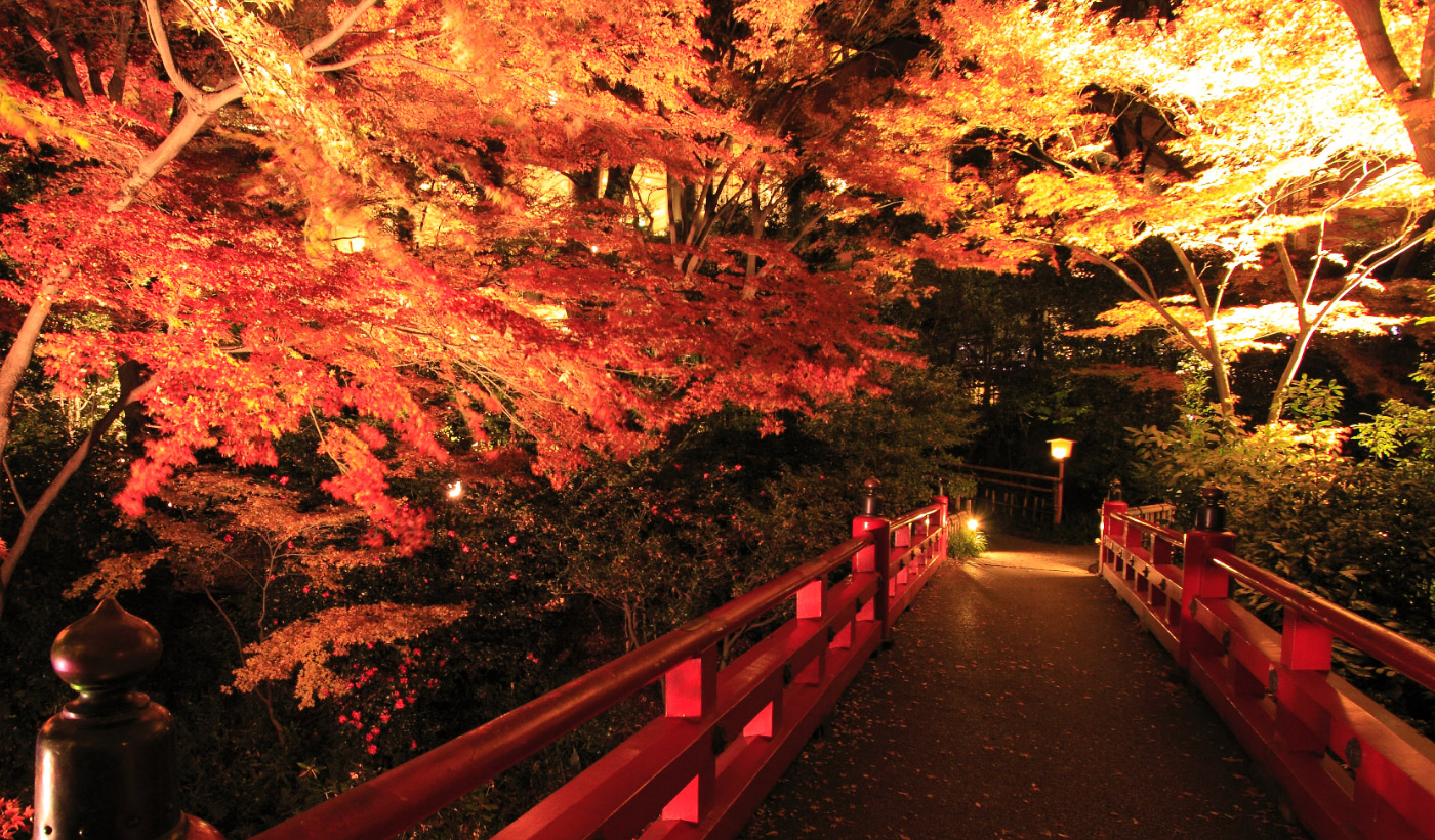 N2クリニック椿山荘東京院